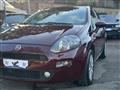 FIAT PUNTO 1.2 8V 5 porte Lounge - NEOPATENTATI