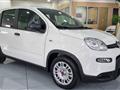 FIAT PANDA 1.0Hybrid 5 Posti sensori adas