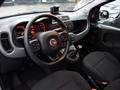 FIAT PANDA CROSS 1.0 CITY CROSS FireFly  Hybrid