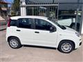 FIAT PANDA 1.3 MJT 95 CV S&S Easy