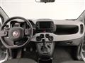 FIAT PANDA 1.0 firefly hybrid City Cross s&s 70cv