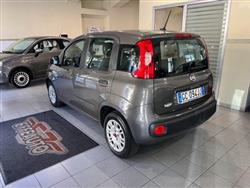 FIAT PANDA 1.2 Lounge 11.900