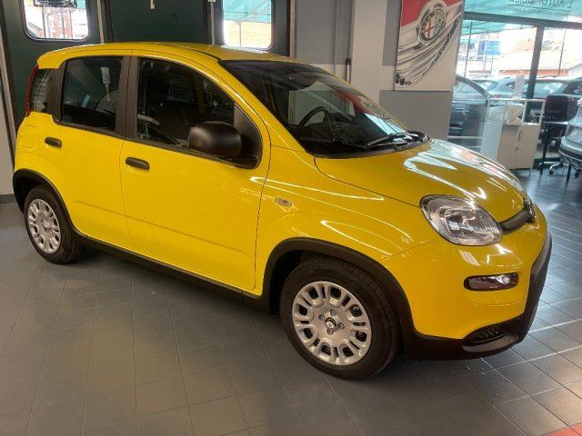 FIAT PANDA 1.0 FireFly S&S Hybrid