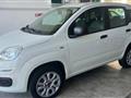 FIAT PANDA 0.9 TwinAir Turbo Nat.Power Easy OK NEOPATENTATI