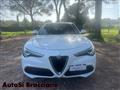 ALFA ROMEO STELVIO 2.2 Turbodiesel 160 CV AT8