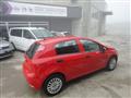 FIAT PUNTO 1.2 8V 5 porte Street