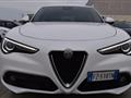 ALFA ROMEO STELVIO 2.2 Turbodiesel 190 CV AT8 Q4 Executive