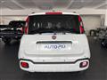 FIAT PANDA Pandina 1.0 FireFly 70 CV Hybrid Cross KM0 MY24