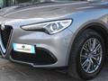 ALFA ROMEO Stelvio 2.2 t Business rwd 160cv auto Con NAVIGATORE