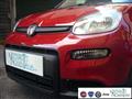 FIAT PANDA 1.0 FireFly S&S Hybrid Pandina Urban Radio Km 0