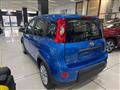 FIAT PANDA 1.0 FireFly S&S Hybrid con promo "PANERO PLUS"