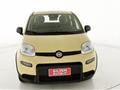 FIAT PANDA 1.0 FireFly S&S Hybrid - KM ZERO