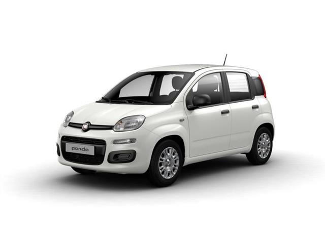 FIAT PANDA 1.0 FireFly S&S Hybrid Pandina