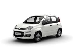 FIAT PANDA 1.0 FireFly S&S Hybrid Pandina