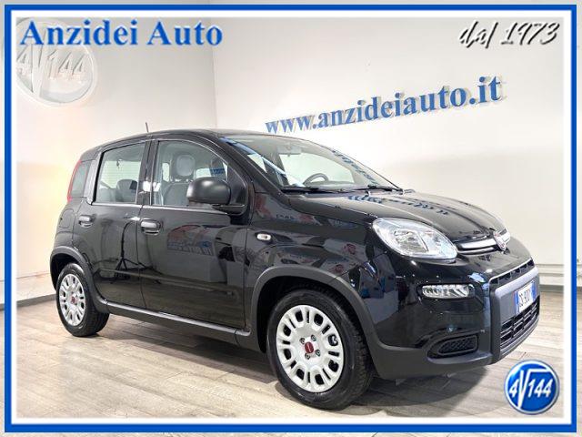 FIAT PANDA 1.0 FireFly 70 Cv Hybrid Pack City