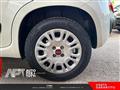 FIAT PANDA 1.2 Lounge 69cv