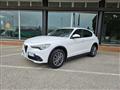 ALFA ROMEO STELVIO 2.2 Turbodiesel 180 CV AT8 Q4 Business