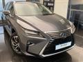 LEXUS RX Hybrid Luxury