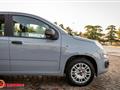 FIAT PANDA 1.2 Easy NEOPATENTATI