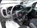 FIAT PANDA CROSS 1.0 firefly hybrid 70cv City Life 5 posti