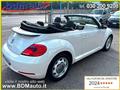 VOLKSWAGEN MAGGIOLINO Cabrio 1.6 TDI DSG Design*XENO*NAVI*PARK PILOT*