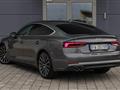 AUDI A5 SPORTBACK SPB 50 TDI tiptronic quattro edition S-LINE