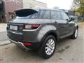 LAND ROVER RANGE ROVER EVOQUE 2.0 eD4 5p. Business Edition Premium Pure