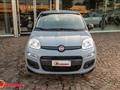 FIAT PANDA 1.2 Easy NEOPATENTATI