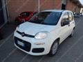 FIAT Panda 1.2 Easy s&s 69cv my19