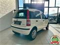 FIAT PANDA 1.2 Natural Power *NEOPATENTATI*