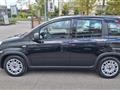 FIAT PANDA 1.0 FireFly S&S Hybrid PERMUTE UNICOPROPR.