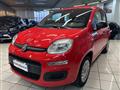 FIAT PANDA 1.2 Easy - NEOPATENTATO - UNICO PROPRIETARIO