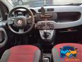 FIAT PANDA 1.2 Lounge  *DISTRIBUZIONE ESEGUITA*