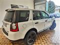 LAND ROVER FREELANDER (motore ford) 4x4 - cinghia fatta