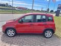 FIAT PANDA 1.0 70cv Hybrid Panda My23