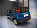 FIAT PANDA FIAT PANDA  Hybrid