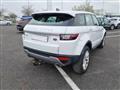 LAND ROVER Range Rover Evoque 2.0 TD4 150CV 5p. Business Edition Pure