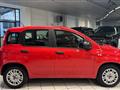 FIAT PANDA 1.2 Easy - NEOPATENTATO - UNICO PROPRIETARIO