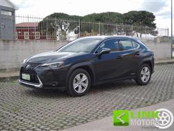 LEXUS UX Hybrid Business