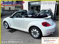 VOLKSWAGEN MAGGIOLINO Cabrio 1.6 TDI DSG Design*XENO*NAVI*PARK PILOT*