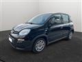 FIAT PANDA My23 1.0 70cv Hybrid Panda