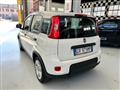 FIAT PANDA 1.2 GPL casa madre con promo "PANERO PLUS"