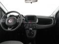 FIAT PANDA CROSS Panda Cross 1.0 FireFly S&S Hybrid