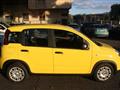 FIAT PANDA 1.0 FireFly S&S Hybrid Pandina