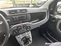 FIAT PANDA 1.0 firefly hybrid ADATTA PER NEOPATENTATI IVA ESP