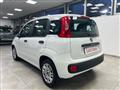 FIAT PANDA 1.2 69CV *UNICO PROP.*TAGLIANDI CERT.*OK NEOPAT.*