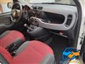 FIAT PANDA 1.2 Lounge  *DISTRIBUZIONE ESEGUITA*