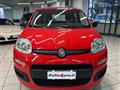 FIAT PANDA 1.2 Easy - NEOPATENTATO - UNICO PROPRIETARIO