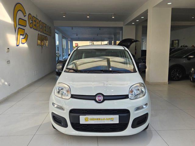 FIAT PANDA 1.0 FireFly S&S Hybrid da ?119,00 mensili