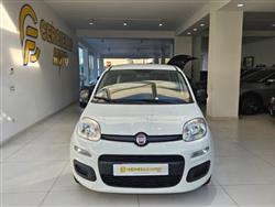 FIAT PANDA 1.0 FireFly S&S Hybrid da ?119,00 mensili